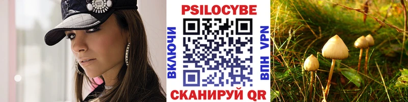 Псилоцибиновые грибы Cubensis  Навашино 